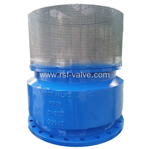 Ductile Iron Foot Valve